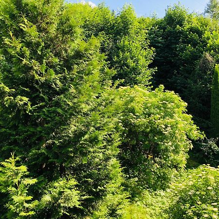 Appartements Domizil Kaprun Zewnętrze zdjęcie