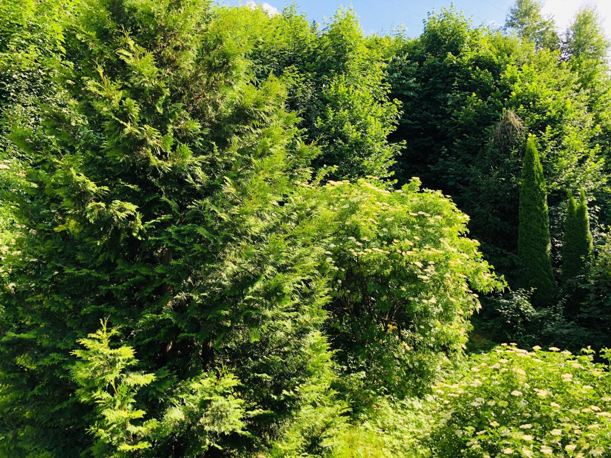Appartements Domizil Kaprun Zewnętrze zdjęcie