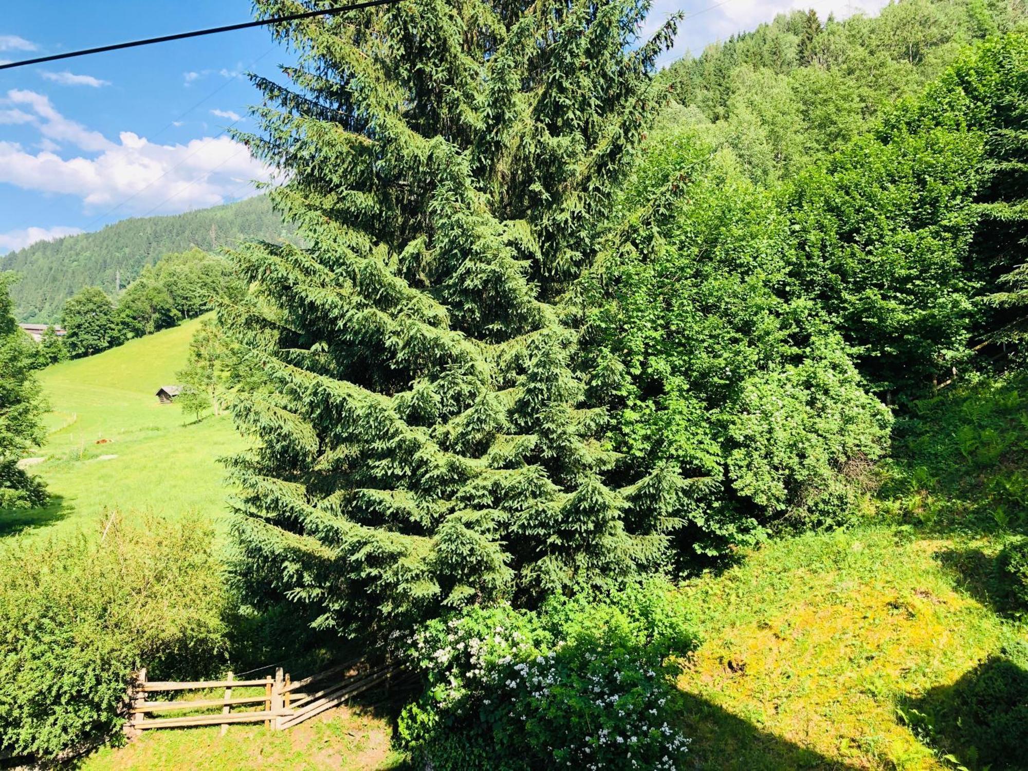 Appartements Domizil Kaprun Zewnętrze zdjęcie