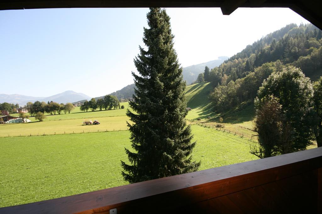 Appartements Domizil Kaprun Zewnętrze zdjęcie